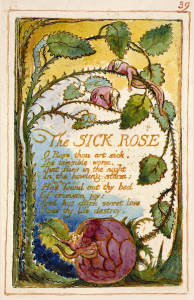 The Sick Rose-Blake-Print