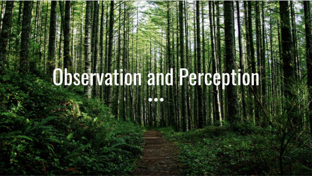 Observation and Perception